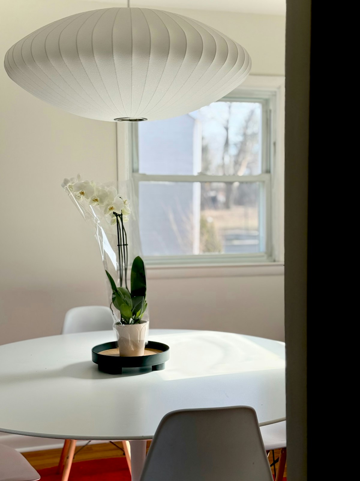 Dining room pendant lamp application case