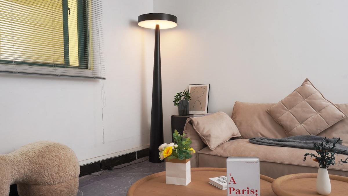 Living room floor lamp project case