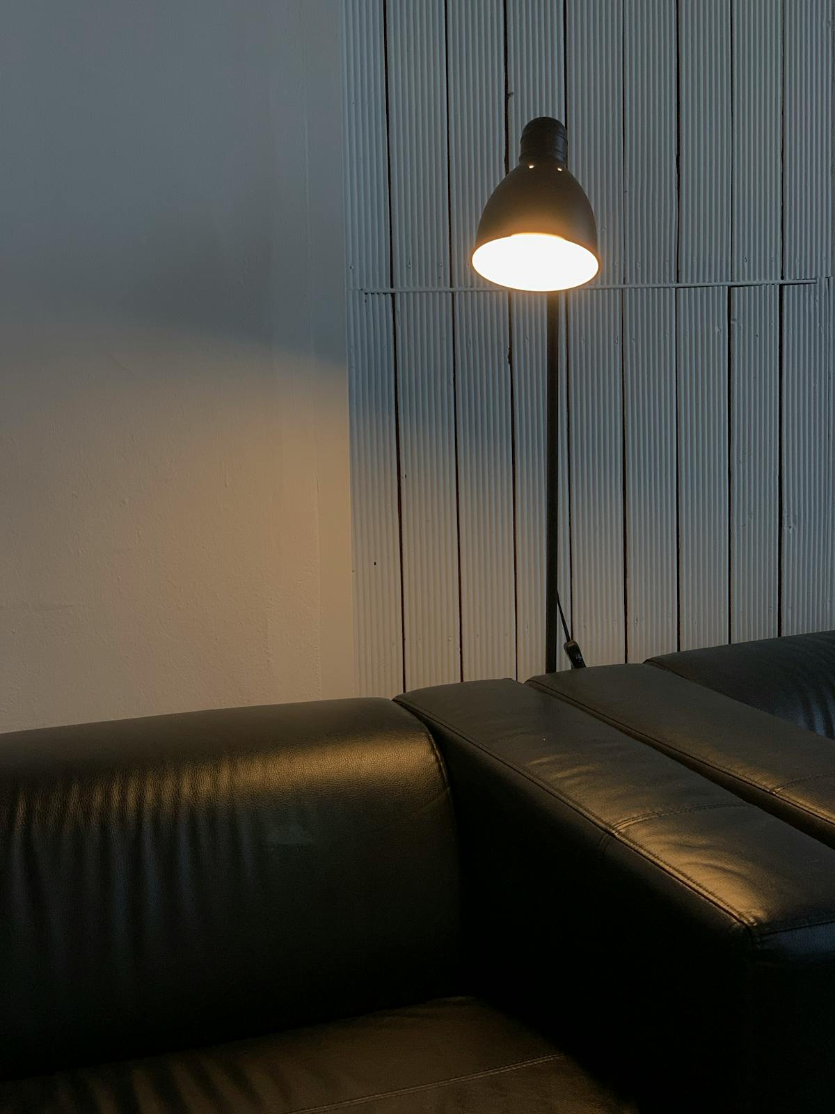 Sofa area decorative floor lamp case