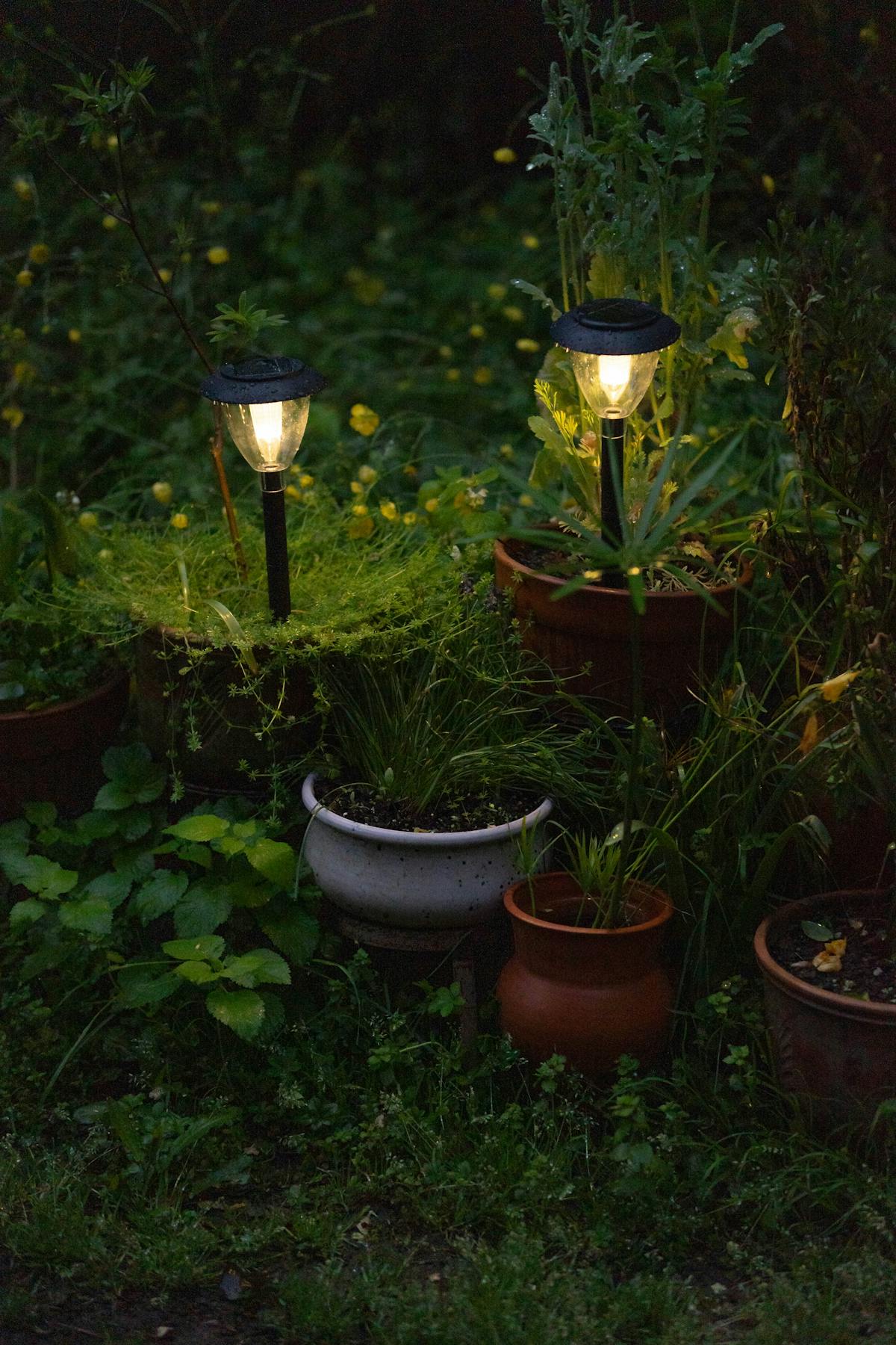 Solar garden lighting assortment case